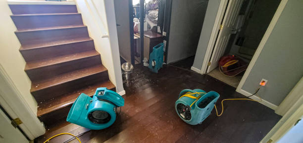 Best Fire Damage Restoration  in Grants Pass, OR