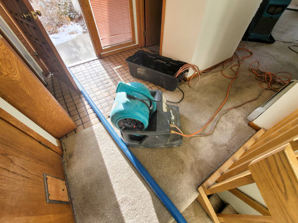 Best Flood restoration services  in Grants Pass, OR