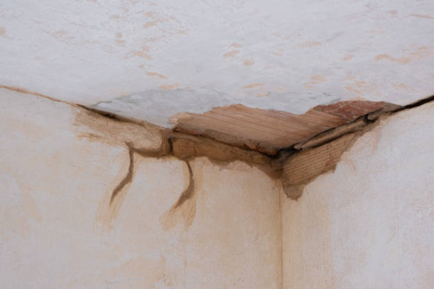 Best 24/7 water damage repair  in Grants Pass, OR