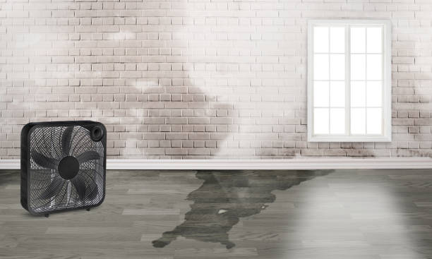 Best Water damage mitigation services  in Grants Pass, OR