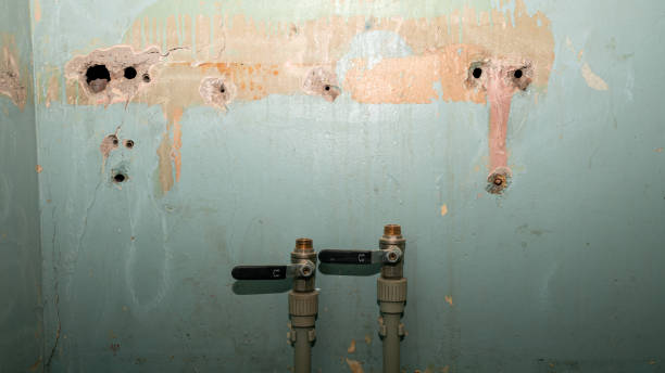 Best Local water damage restoration  in Grants Pass, OR